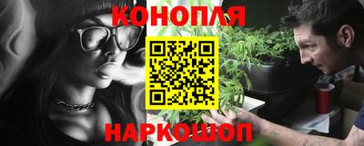 прущие грибы Краснознаменск